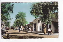 COLOMB-BECHAR - Avenue Poincaré - Bechar (Colomb Béchar)