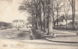 Delcampe - 45 :  Courtenay : Promenade Et école   ///  Réf. Fév. 23  / N° 24.747 - Courtenay