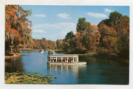 Delcampe - AK 111049 USA - Florida - Silver Springs - Feeding Fish From Glass Bottom Boat - Silver Springs