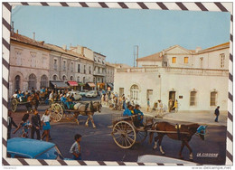 Delcampe - 6AI556 ALES PLACE DE LA MAIRIE BEAU PLAN DE FETE CHEVAL CHARIOT   2  SCANS - Alès