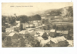 Delcampe - Bomal - Panorama - Vu Du Dessus Du Château - Durbuy