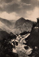 Sentier Dans Les Andes - Venezuela Pintoresca - Sus Montanas - Venezuela