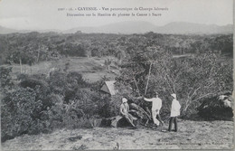 Delcampe - C. P. A. : GUYANE : CAYENNE : Vue Panoramique De Champs Labourés, Discussion Sur La Manière De Planter La Canne à Sucre - Cayenne