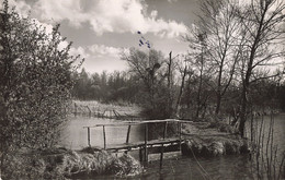 Delcampe - 91 Vert Le Petit Un Coin Du Marais CPSM PF Cachet 1949 - Vert-le-Petit