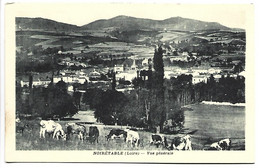 Delcampe - NOIRETABLE - Vue Générale - Noiretable