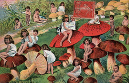 Champignons - Cpa Illustrateur - Enfants Cèpes - Muschroom - Champignons