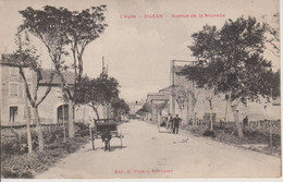 11 - SIGEAN - AVENUE DE LA NOUVELLE - Sigean