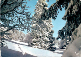 Delcampe - (2 Oø 6) France - Posted 1967  - Winnter Snow Secenery / Scène - Arbres En Hivers Sous La Neige - Bäume