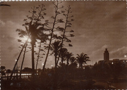 CARTOLINA  TRIPOLI,LIBIA TRAMONTO,VIAGGIATA 1959 - Libia