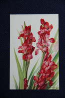 Delcampe - Fleurs : GLAIEUL - Blumen