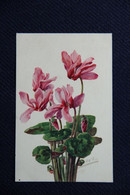 Delcampe - Fleurs : CYCLAMEN - Blumen