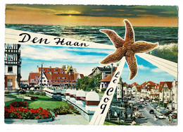 Delcampe - De Den Haan Le Coq Groet Uit Zeester  Seestern étoile De Mer Starfish - De Haan