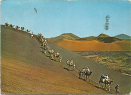 AC5271 Lanzarote - Montaña Del Fuego - Caravana De Camellos / Viaggiata - Lanzarote