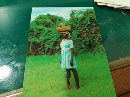 Delcampe - 365 //  HAITI CHAMPETRE HAITIENNE PORTE-FAIX - Haiti