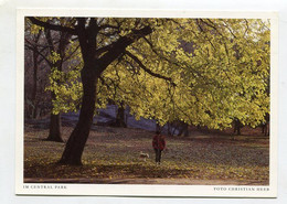 AK 111079 USA - New York City - Im Central Park - Central Park