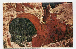 AK 111135 USA - Utah - Bryce Canyon National Park - Natural Bridge - Bryce Canyon
