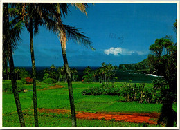 Kawaii Maui Lush Farmland Of Hakukoloa 1983 - Maui