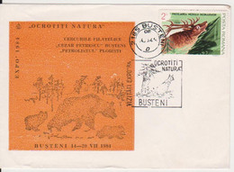 Delcampe - BUSTENI NATURE PROTECTION FAUNA ANIMALS BEAR OURS DEER ROMANIA SPECIAL COVER - Bären