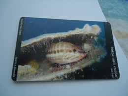 TURKEY USED  CARDS  FISH FISHES  MARINE LIFE 100 - Pesci