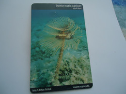 TURKEY USED  CARDS  FISH FISHES  MARINE LIFE - Peces