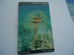 TURKEY USED  CARDS  FISH FISHES  MARINE LIFE - Fische