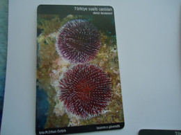 TURKEY USED  CARDS  FISH FISHES  MARINE LIFE - Peces