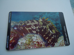 TURKEY USED  CARDS  FISH FISHES  MARINE LIFE  100 - Pesci