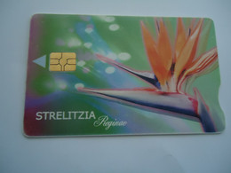 Delcampe - SOUTH AFRICA  USED  CARDS  FLOWERS  CACTUS - Blumen