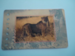 SOUTH AFRICA  USED  CARDS  ANIMALS CHEETAH - Giungla