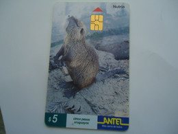 URUGUAY  USED CARDS ANIMALS - Otros & Sin Clasificación