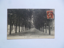 Delcampe - JOIGNY  -  89  -  Promenade Du Mail    -  Yonne - Joigny