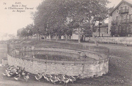 Delcampe - 40 DAX BASSIN A BOUE DE L'ETABLISSEMENT THERMAL DES BAIGNOTS / - Dax