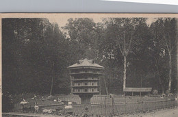 Delcampe - Lyon - 6° - Parc De La Tête D'Or - Le Pigeonnier - Lyon 6