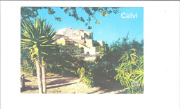 Delcampe - CORSE CALVI  LA CITADELLE ET LE JARDIN EXOTIQUE           **    RARE  A  SAISIR **** - Calvi