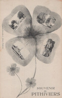 Delcampe - 45 / SOUVENIR DE PITHIVIERS / PENSEE MULTIVUES - Pithiviers