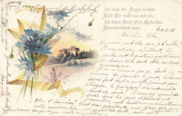 Fantaisies - Fleur - Colorisé - Oblitéré Eupen 1902 - Précurseur - Quatrain - C. Postale Ancienne - Uomini