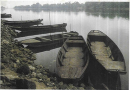 Delcampe - 44 Ancenis - Ancenis