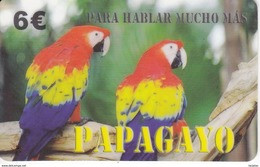 TARJETA DE ESPAÑA DE UNOS PAPAGAYOS LETRAS NEGRAS (LORO-PARROT) - Parrots