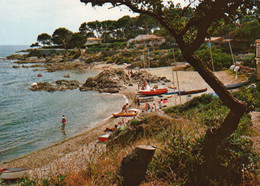 Delcampe - 83,VAR,SAINT AYGULF - Saint-Aygulf