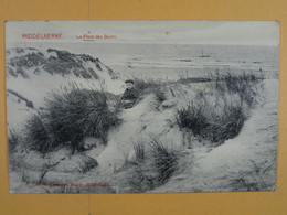 Delcampe - Middelkerke La Flore Des Dunes - Middelkerke