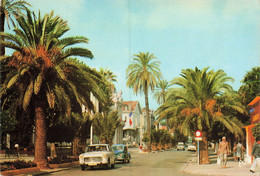 Hyères Les Palmiers * Avenue Joseph Clotis - Hyeres