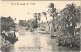 Delcampe - Egypte - Le Caire - Hôtel Metropole - Carte Postale Vierge - Très Bon état - Kairo