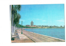 Delcampe - Cpm -  ANGOLA - Baie De LUANDA - Timbre Coquille Saint Jacques - Papillon - 1981 - Angola