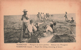 Polynésie Française - Tuamotus - Plonge à La Nacre Perlière - Retour Des Plongeurs - Animé - Carte Postale Ancienne - French Polynesia