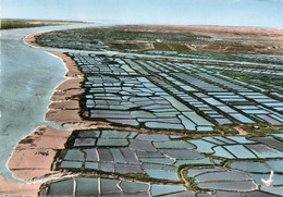 Delcampe - 17,CHARENTE MARITIME,MARENNES,CARTE PHOTO LAPIE,PILOTE ET PHOTOGRAPHE - Marennes