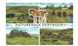 Devon Dartmoor Multiview With Pony Salmon Unused - Dartmoor