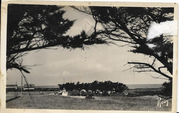 Delcampe - 44-PREFAILLES 3 Cpsm - Pointe St-Gildas La Frégate, La Côte Prise De La Source, Vue Sur La Mer - Préfailles