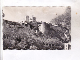 Delcampe - CPA  PHOTO MONACO PALAIS DU PRINCE  En 1961!   (voir Timbres Et Flamme)) - Fürstenpalast
