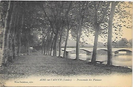 Delcampe - CPA Aire-sur-L'Adour Promenade Des Platanes - Aire