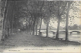 Delcampe - CPA Aire-sur-L'Adour Promenade Des Platanes - Aire